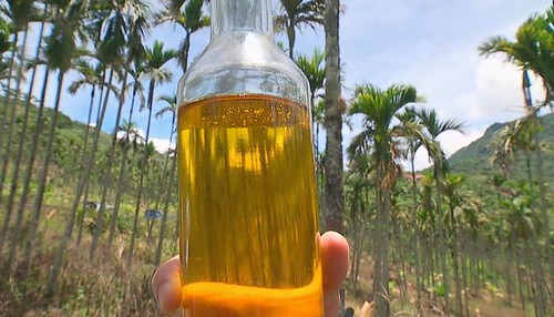 國土保育專案輔導檳榔農種植油茶