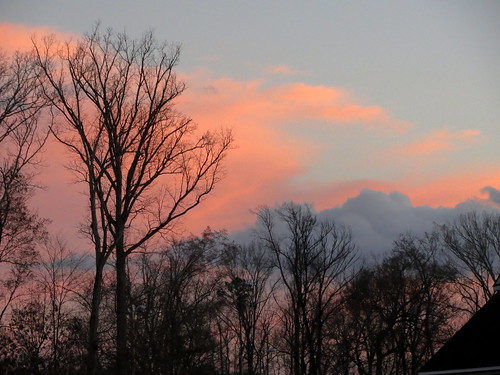 lumberton nc northcarolina robesoncounty nature outdoors outside evening dusk sunset tree trees sky colors