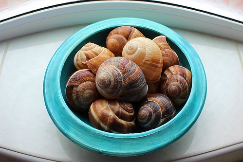 snail hss decorative fisheye canoneos100d 117picturesin2017 texture shells bowl circular windowsill indoor 2017onephotoeachday