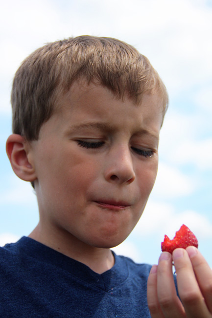Nat-eating-strawberry