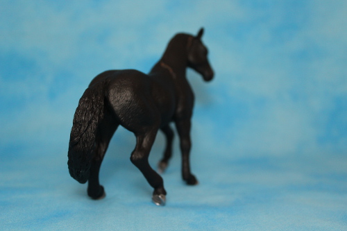 Walkaround of the 2012 Mojö Andalusian Stallions and comparison with Schleich Andalusian 14389035549_2722fc6c57