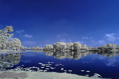 blue trees white lake reflection nature water landscape island infrared cyberjaya inframerah