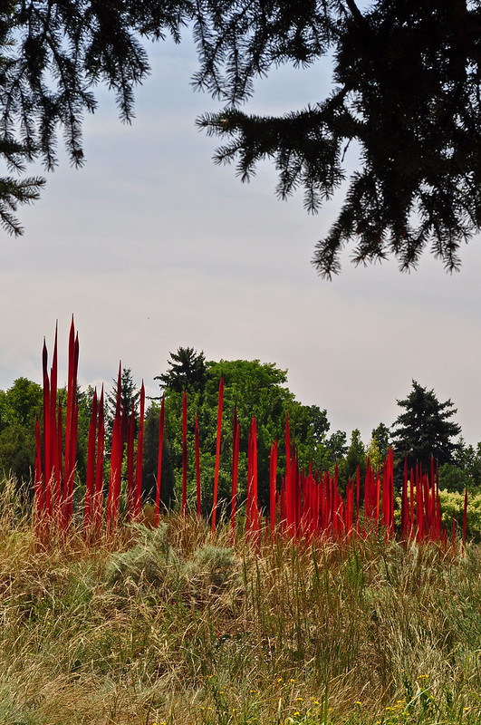 Chihuly 'Red Reeds' (2)