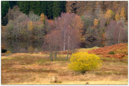 walking landscape scotland dundee perthshire loch pitlochry birchtrees tummel ericrobbniven