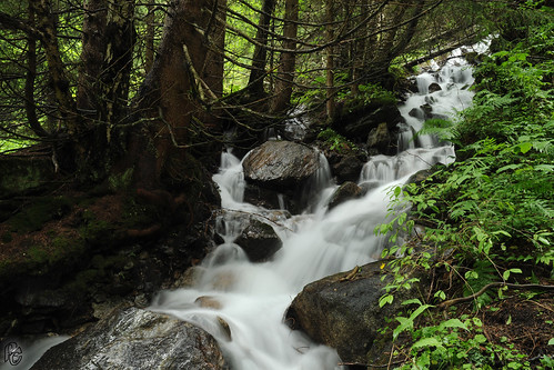 longexposure water forest alpes river waterfall nikon eau stream rivière forêt torrent filé poselongue d300s