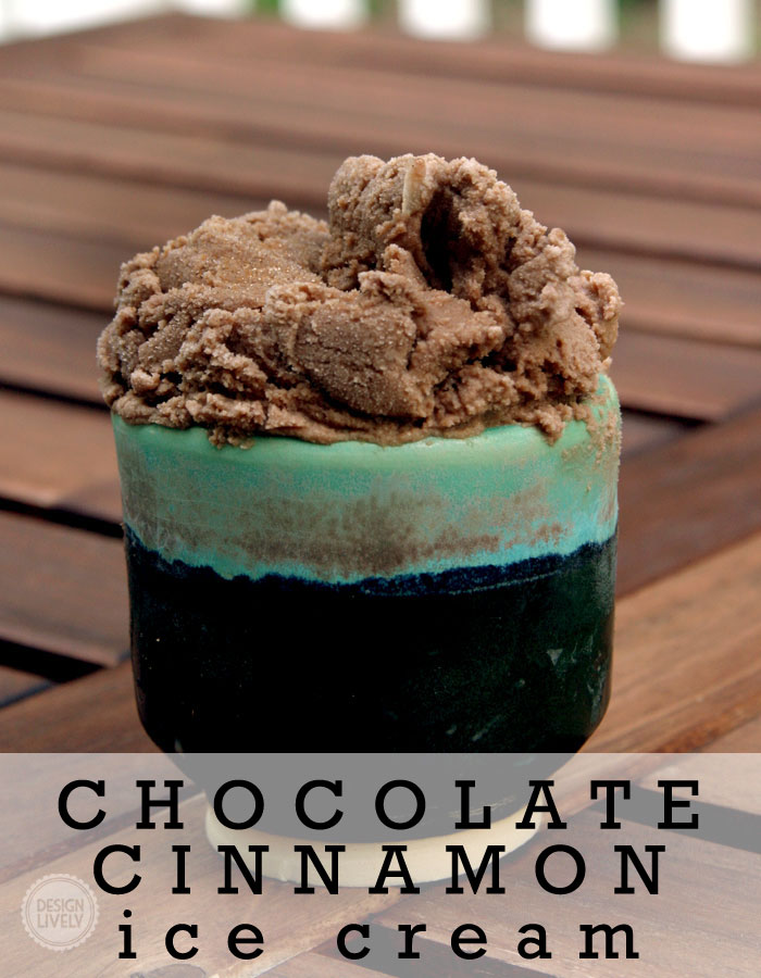 Chocolate-Cinnamon-Ice-Cream2