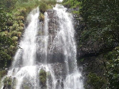 Amboli falls