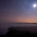 Moonlit Fog