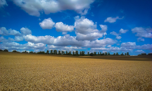england unitedkingdom wheat harvest hertford cloudsstormssunsetssunrises