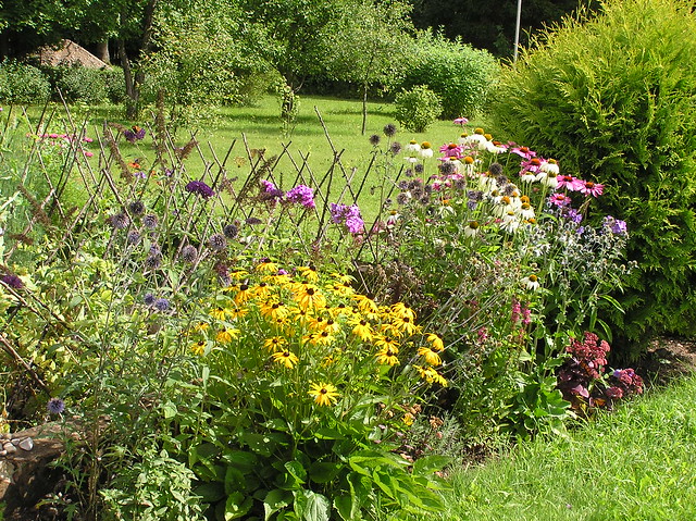 Bee & Butterfly border