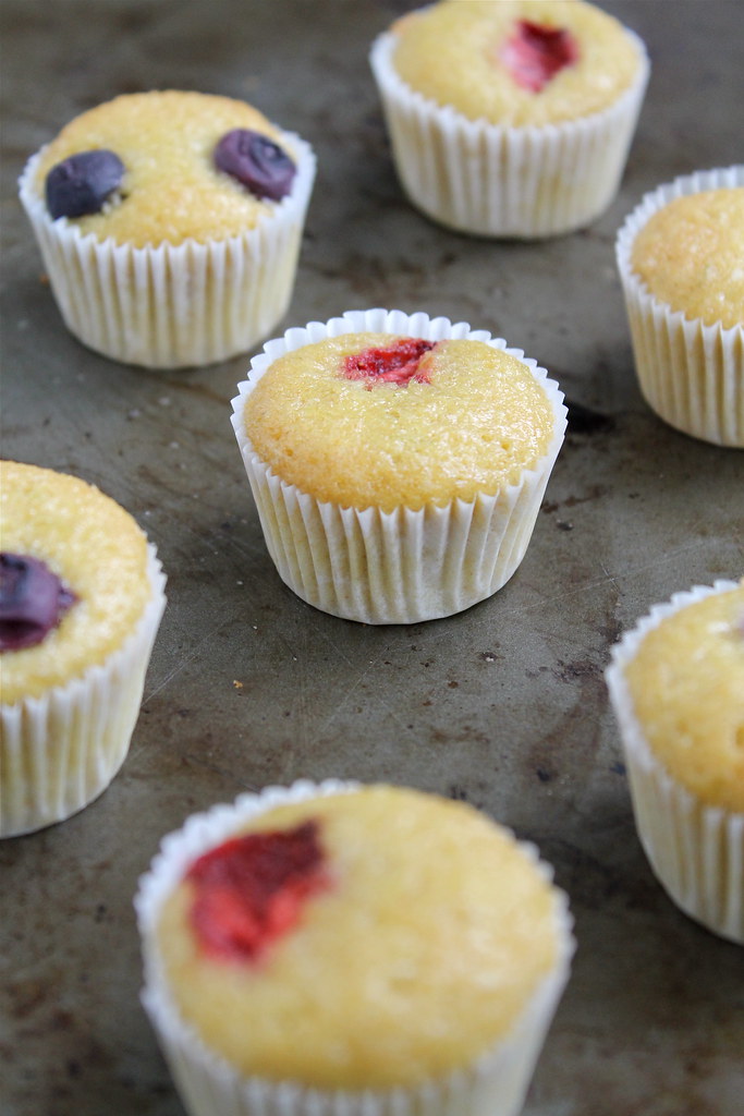 Fruit Topped Citrus Olive Oil Muffins, dairy free | http://www.katesshortandsweets.com