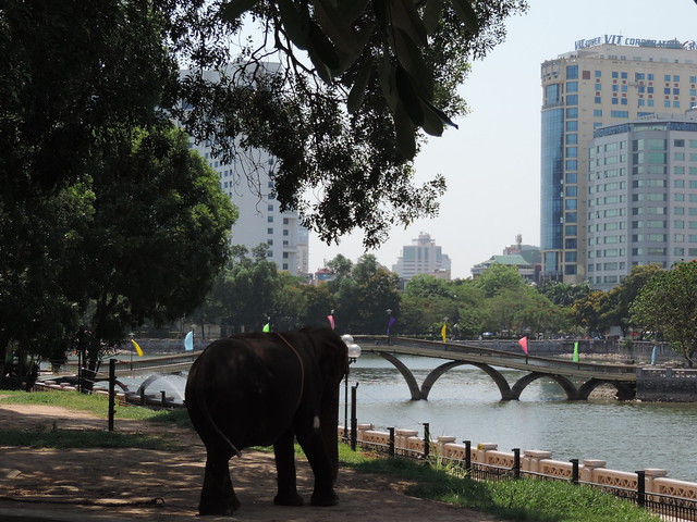 The elephant off chain at Hanoi zoo