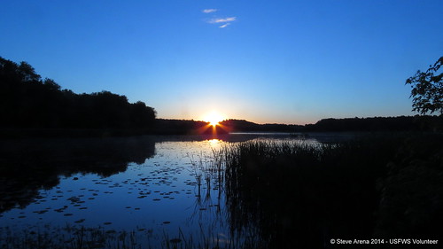 sunrise massachusetts marsh concord marshbird gmnwr marshbirding