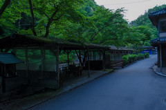 Takao in the early summer evening (Kyoto) / 初夏の高雄（京都）