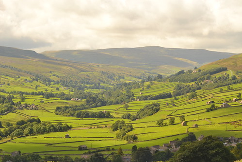 park trees field woodland landscape yorkshire farming north barns meadows hills national valley fields drystonewalls dales swaledale