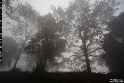 fog landscape costarica volcánirazú