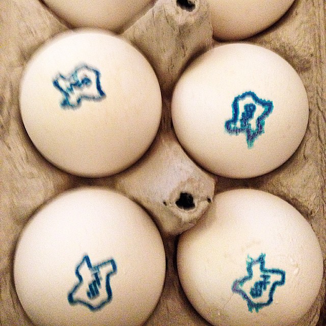 Eggs! #texasiseverywhere