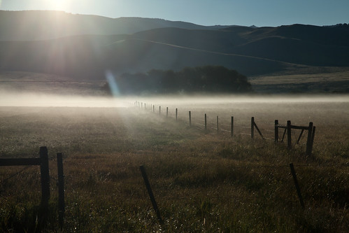 morning sun fog fence montana day highway89