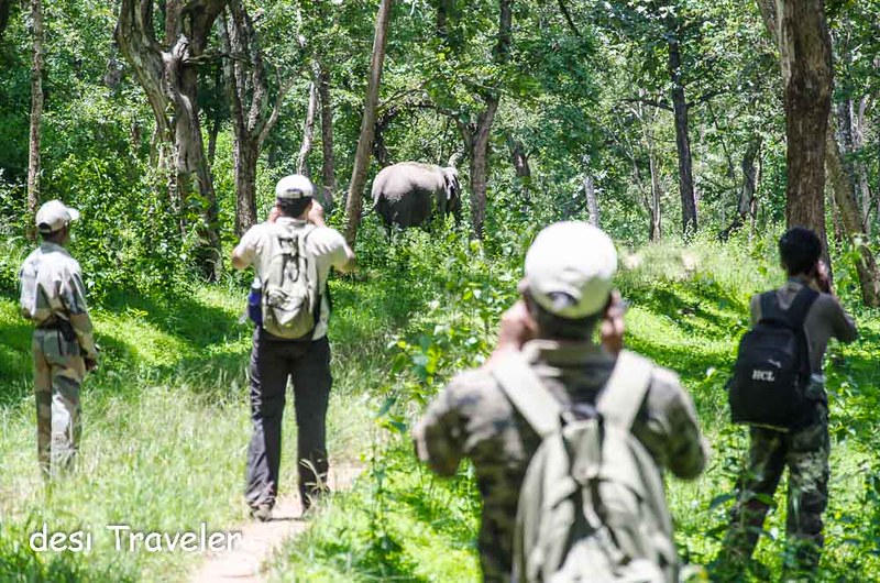 Man Elephant conflict Bandipur National Park