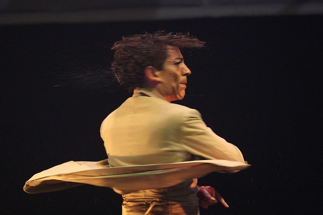 Ballet Flamenco de Andalucia avec David Coria à l'Espace François Mitterrand