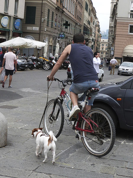 chien et vélo