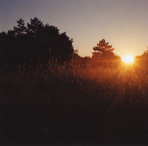 light sunset summer film field grass analog zeiss lomo lomography tramonto estate campo medium format sole luce analogica argentique 120mm