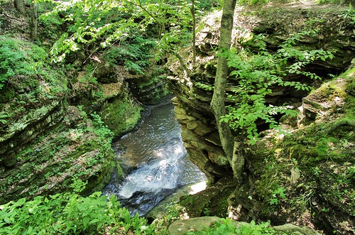 usa wisconsin forest waterfall canyon gorge 2014 5f pewitsnest