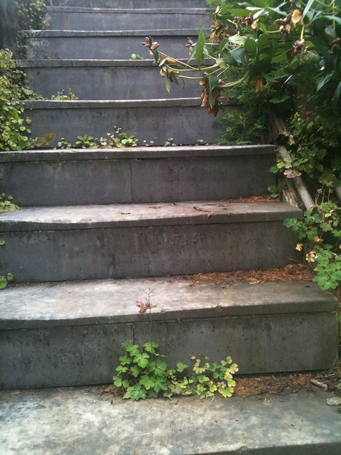 stairs from upper to lower backyard