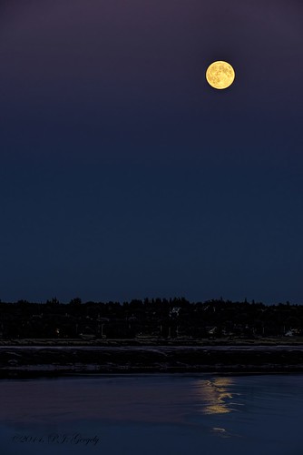 moon dusk dieppe petitcodiacriver allrightsreserved©drgnmastrpjg —grouptags— ©pjgergelyallrightsreserved
