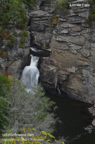 Linville Falls 