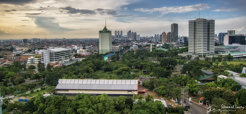 trees sky storm buildings indonesia landscape cityscape jakarta thunder senayan hotelmulia nikfilters letterboxformat centraljakarta colorefexpro4
