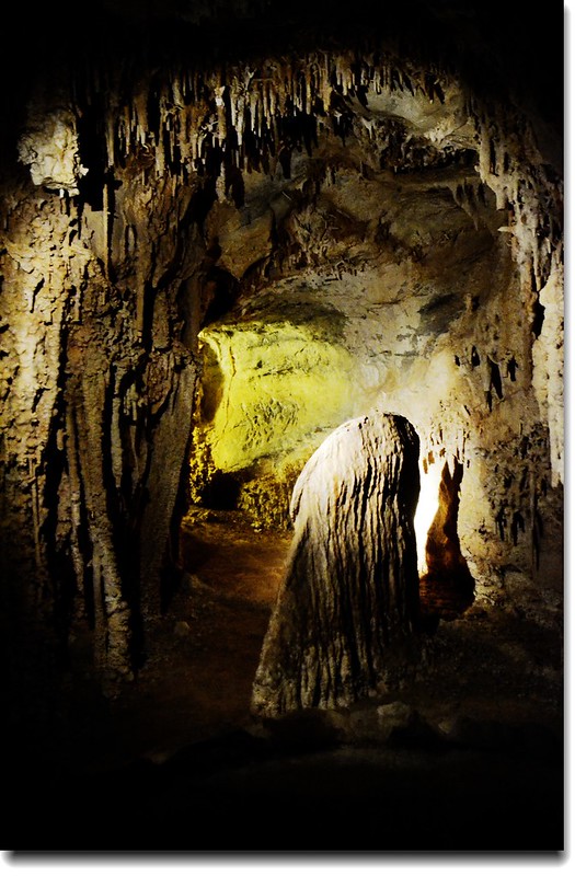 Stalagmites in Lehman Caves 11