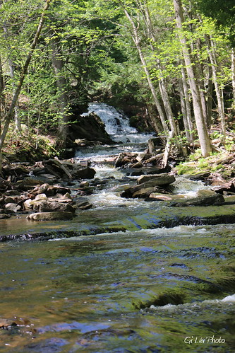 camping forest river rivière chute forêt bois