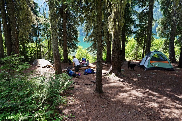setting up camp