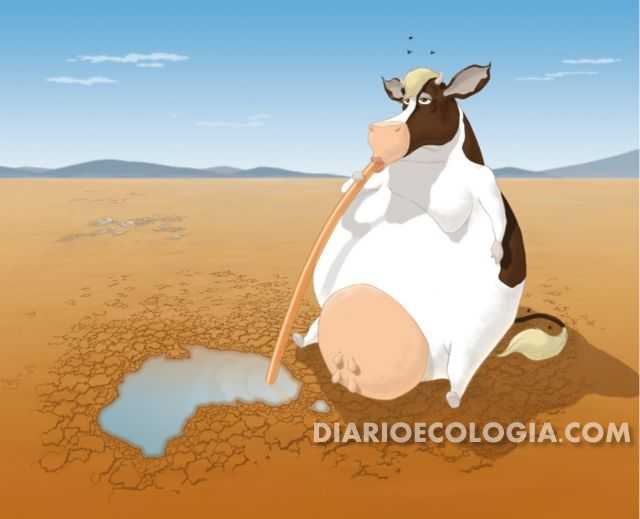 1_vaca desierto diarioecologia