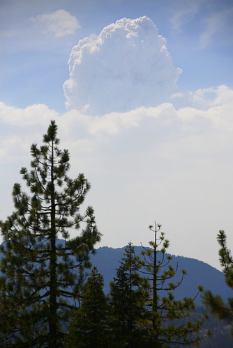 california county ca forest fire smoke august trinity pct siskiyou cofee wildfire 2014 julycomplex