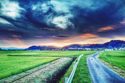 sky green japan clouds rice kagoshima 鹿児島県 日本 agriculture 夏 雲 空 kyushu 九州 夕焼け 米 農業 田んぼ isashi iphoneography 伊佐市 vscocam