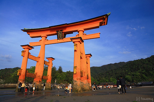 the torii gate