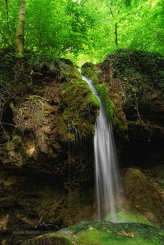 green nature water forest landscape waterfall spring stream hungary magyar bakony magyarország