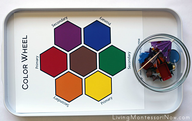 Color Matching Tray with Small Objects