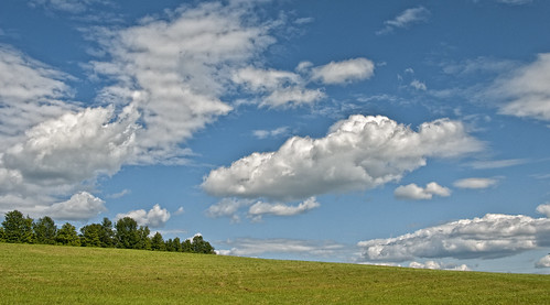 trees sky field clouds meadow