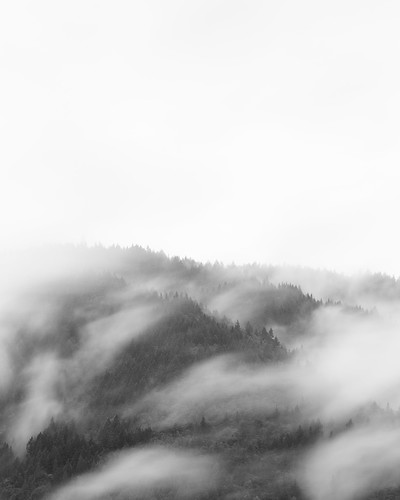landscape longexposure clouds pacificnorthwest issaquah fog canoneos5dmarkiii sigma70200mmf28exdghsmii bwnd1000x blackandwhite nature scenic johnwestrock monochrome washington