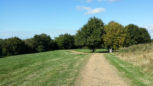 On what seems a pretty pointless detour from the canal. Nice enough but really just a dog walking place #sh #LondonLOOP