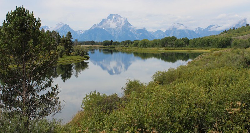 The Oxbow Bend