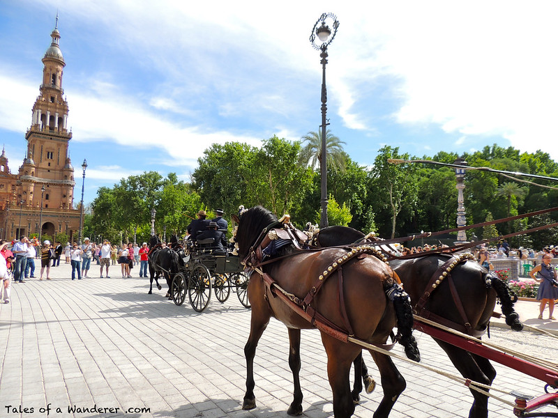 SEVILLA - Plaza de España - (XXIX Exhibición de Enganches 2014 - Desfile inaugural)
