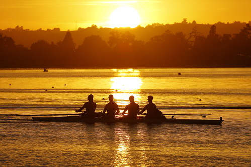 ballarat victoria australia lakewendouree lake water rowers rower rowingcourse rowingboat dawn sunrise sun