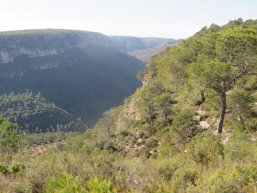 valencia naturist campsite moixent sierranatura joantijs