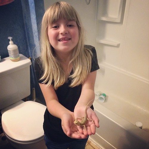 Welcome to our family, Spyro Jones. (That's what Catie has named our bearded dragon. He enjoyed the bathtub while we set up his terrarium.)