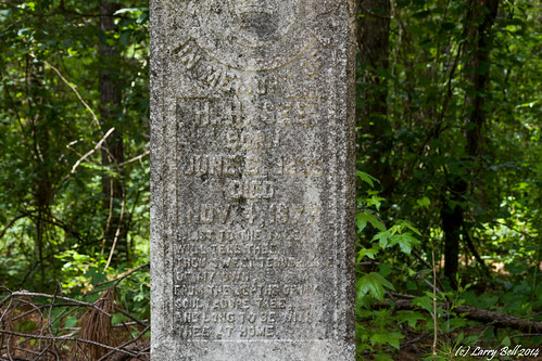 cemetery georgia manchester unitedstates loftin larrybell meriwethercounty larebel larebell seeseayfamilycemetery
