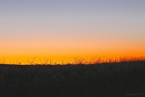 sunset orange sun sol canon contraluz atardecer 7d naranja taronja horaazul nordwest700